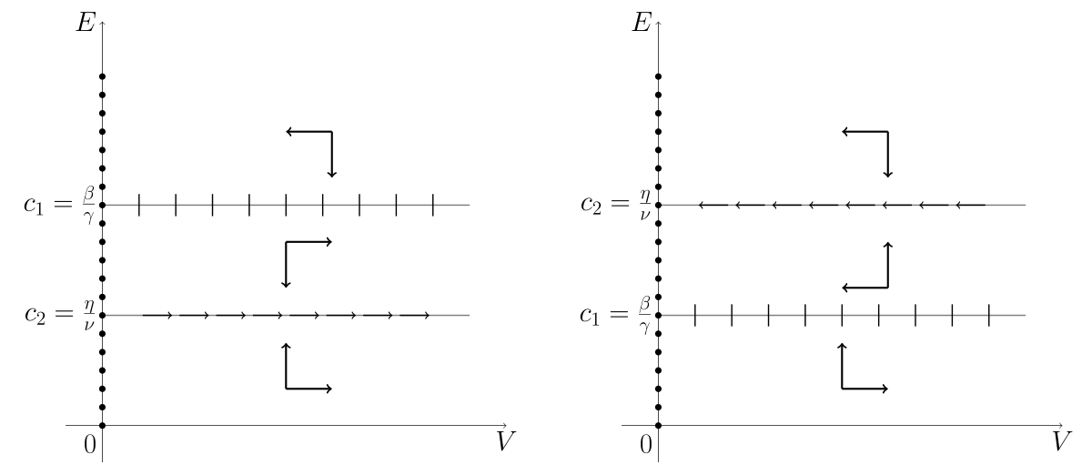 Szkice portretu fazowego układu~\eqref{odpornosc2}  z zaznaczonymi izoklinami zerowymi i kierunkami przebiegu poszczególnych zmiennych w przypadku gdy $c_{1}>c_{2}$ (po lewej) oraz w przypadku gdy $c_{1}<c_{2}$ (po prawej).