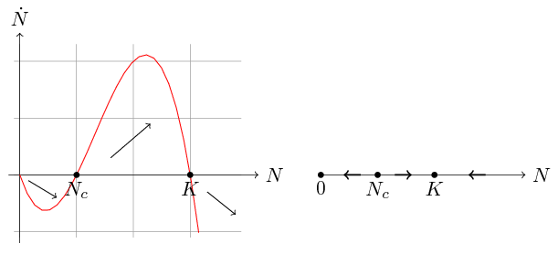 Zależność $(N,\dot{N})$ dla modelu opisanego równaniem~\eqref{Allee} (po lewej) oraz odpowiadający tej zależności portret fazowy (po prawej).
